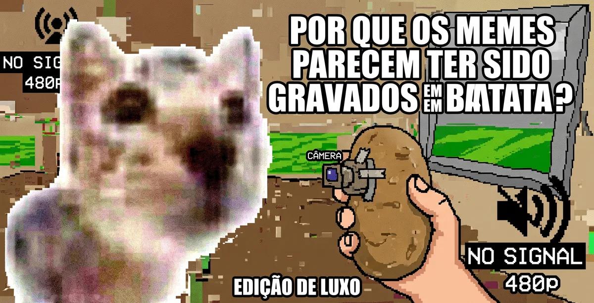 Imagem extremamente borrada e pixelada, com baixíssima resolução, sugerindo a silhueta indistinta do rosto de um gato ou animal claro com manchas escuras.